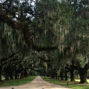 Meet your Posher, Felice